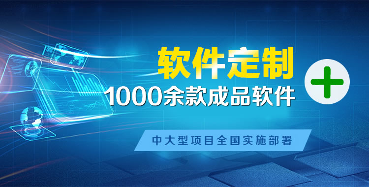 延平软件开发
